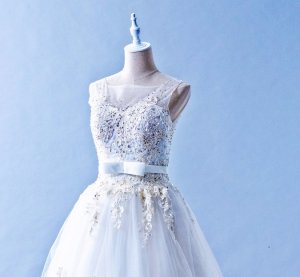 601W05 AD Illusion Neck Princess Top Malaysia Wedding Dress Designer Rental